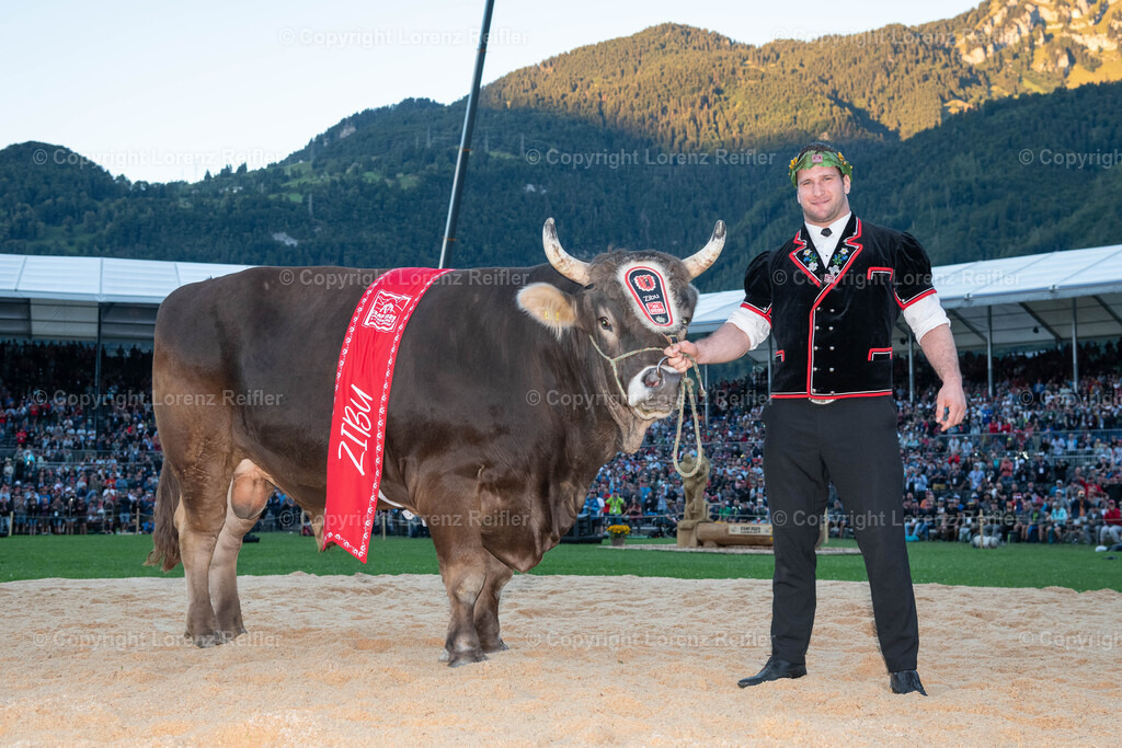 Schwingen -  ESAF Sonntag 2025 | Mollis, 31.8.25, Schwingen - ESAF Sonntag.Orlik Armon (Maienfeld) mit Siegermuni Zibu