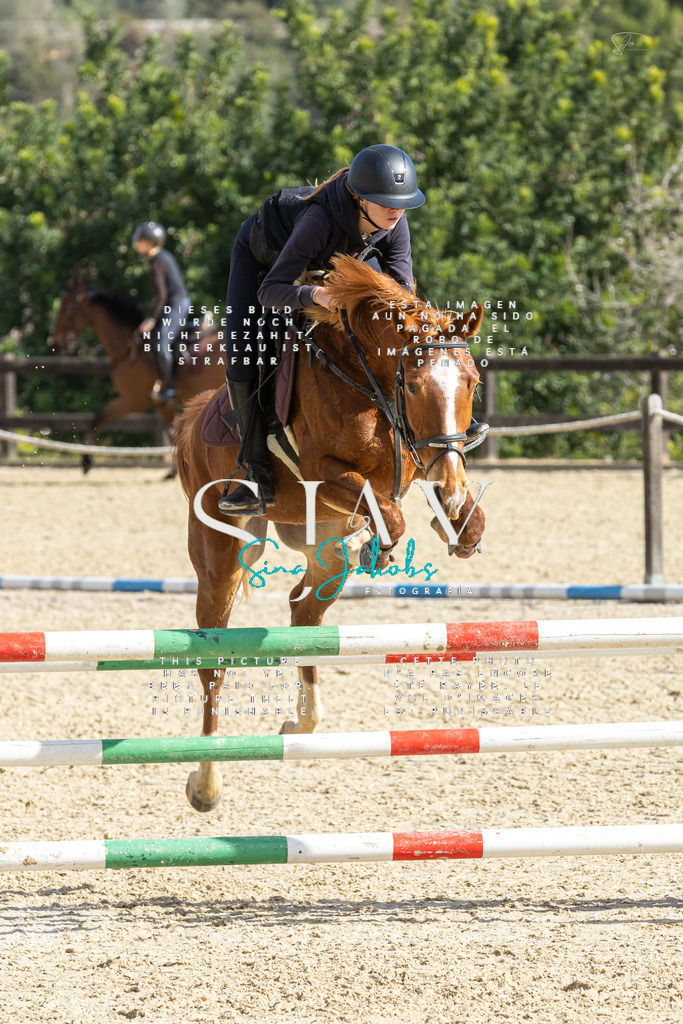 IMG_4045 | s-jay-photography - Realisiert mit Pictrs.com