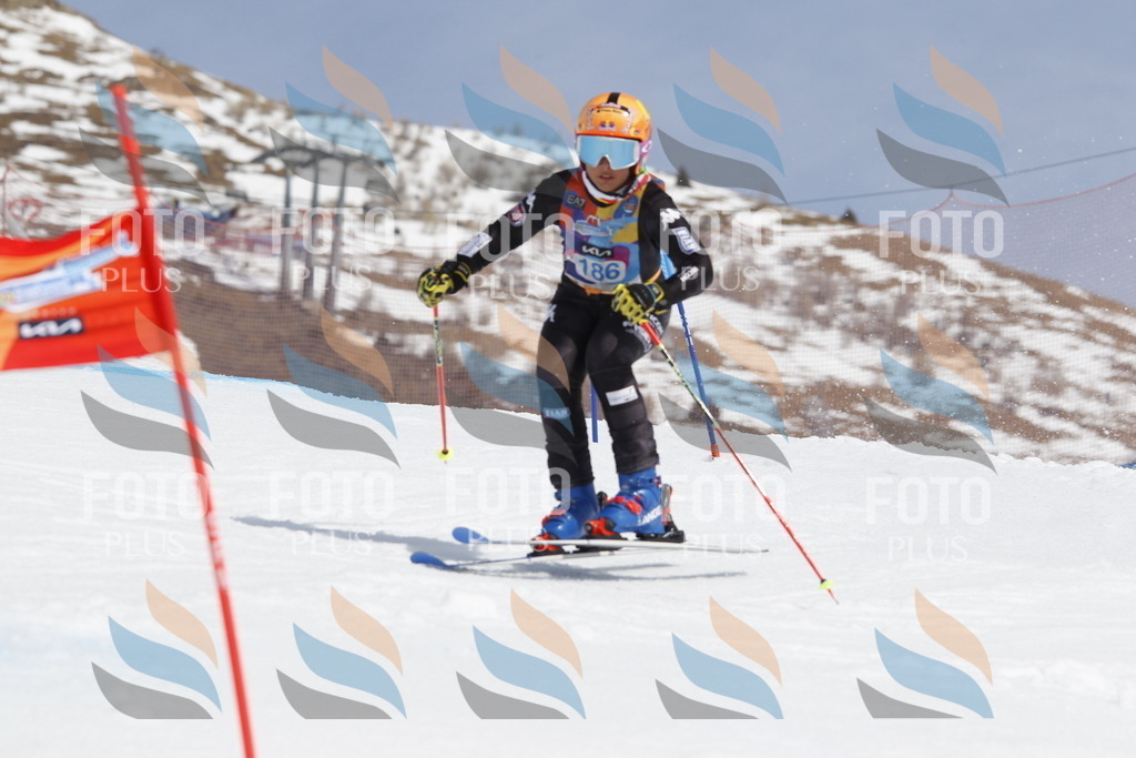 _U3G1831 | holidayphoto