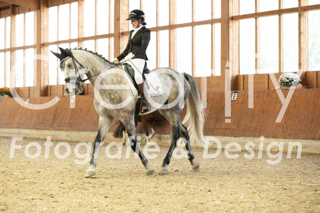 IMG_6167 | Creatify Fotografie