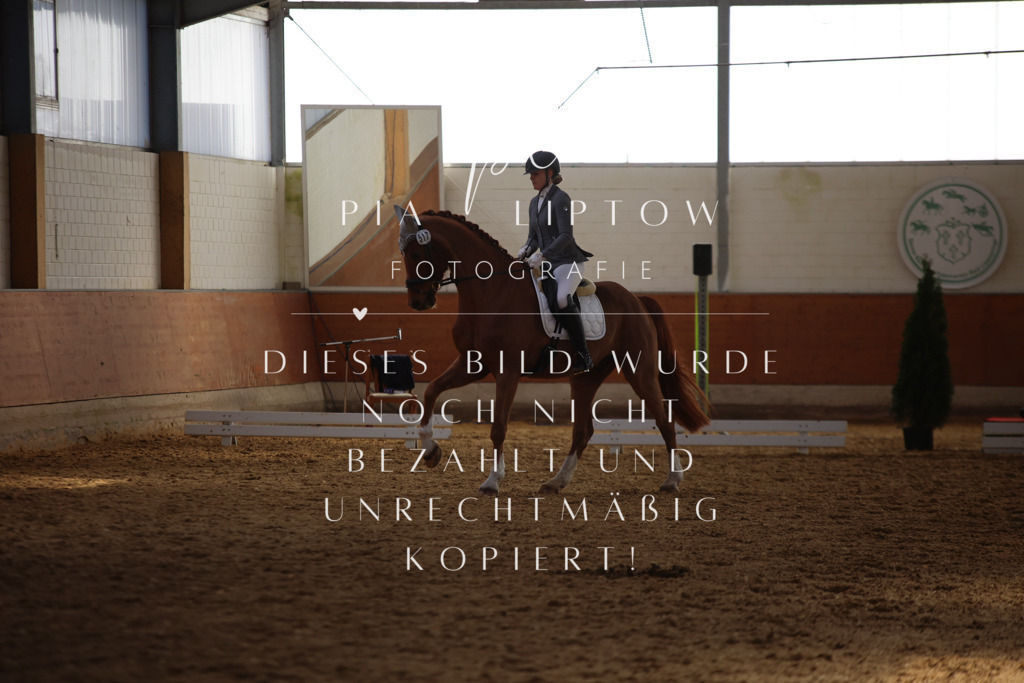 IMGT7388 | pl-fotografie