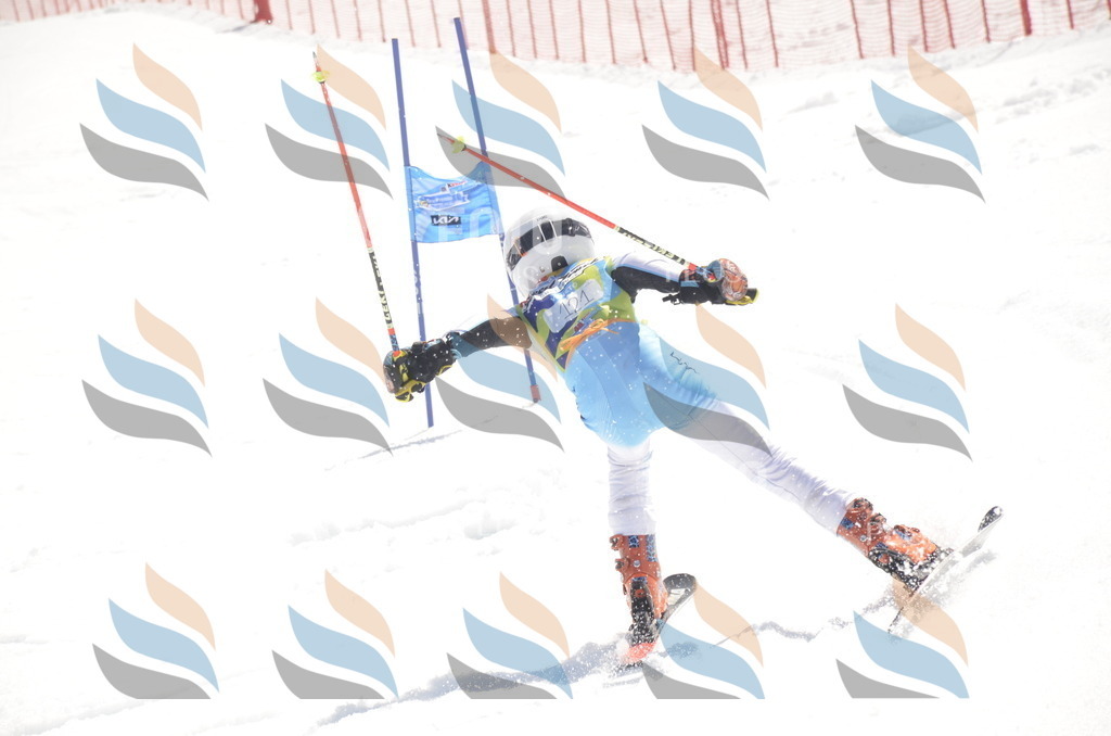 _ELE9582 | holidayphoto