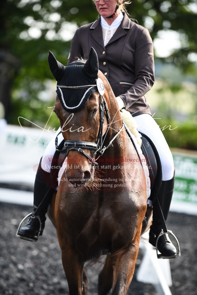DSC_3076 | Pferde- und Turnierfotografie in Westsachsen. Pferdeportraits, Auftragszeichnungen und intuitive Kunst.