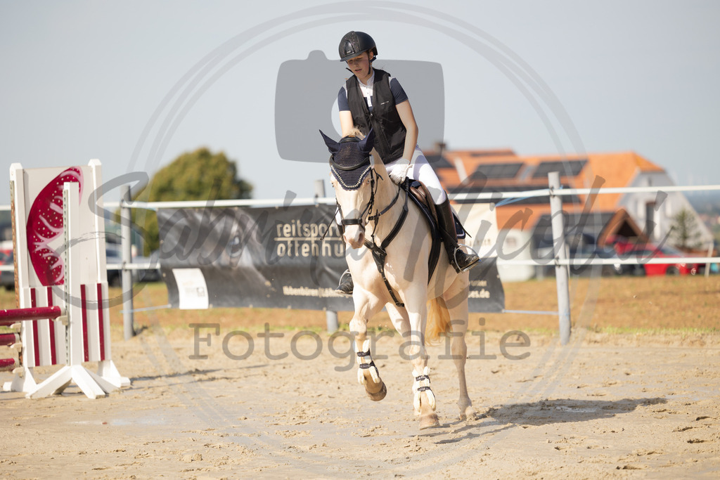 994A1701 | sabrinanicolaifotografie - Realisiert mit Pictrs.com