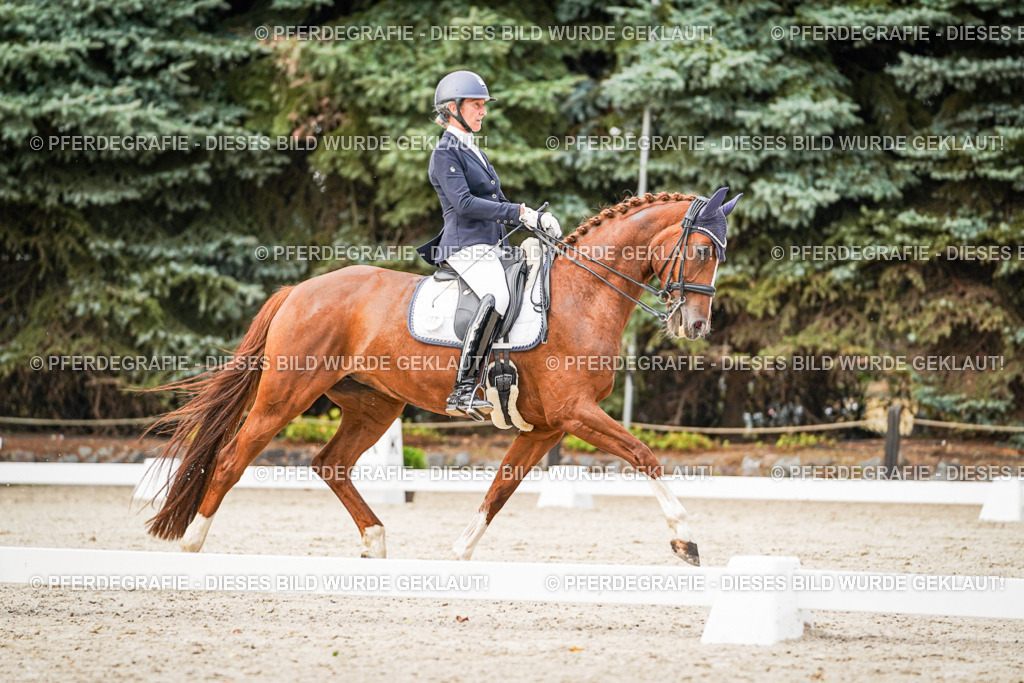 DSC09239 | Pferdegrafie