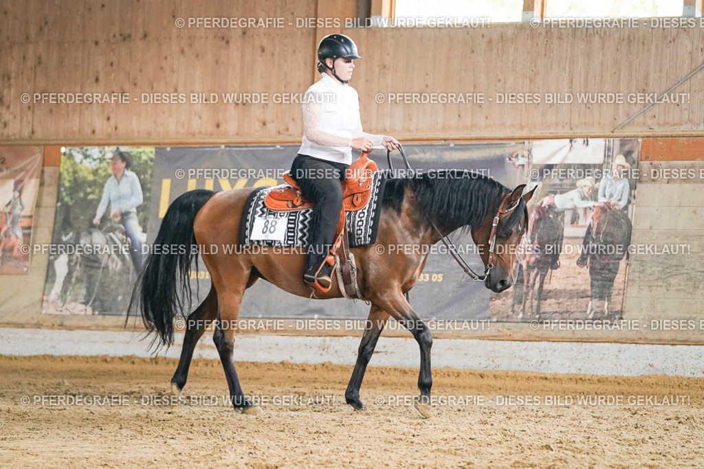 DSC05673 | Pferdegrafie