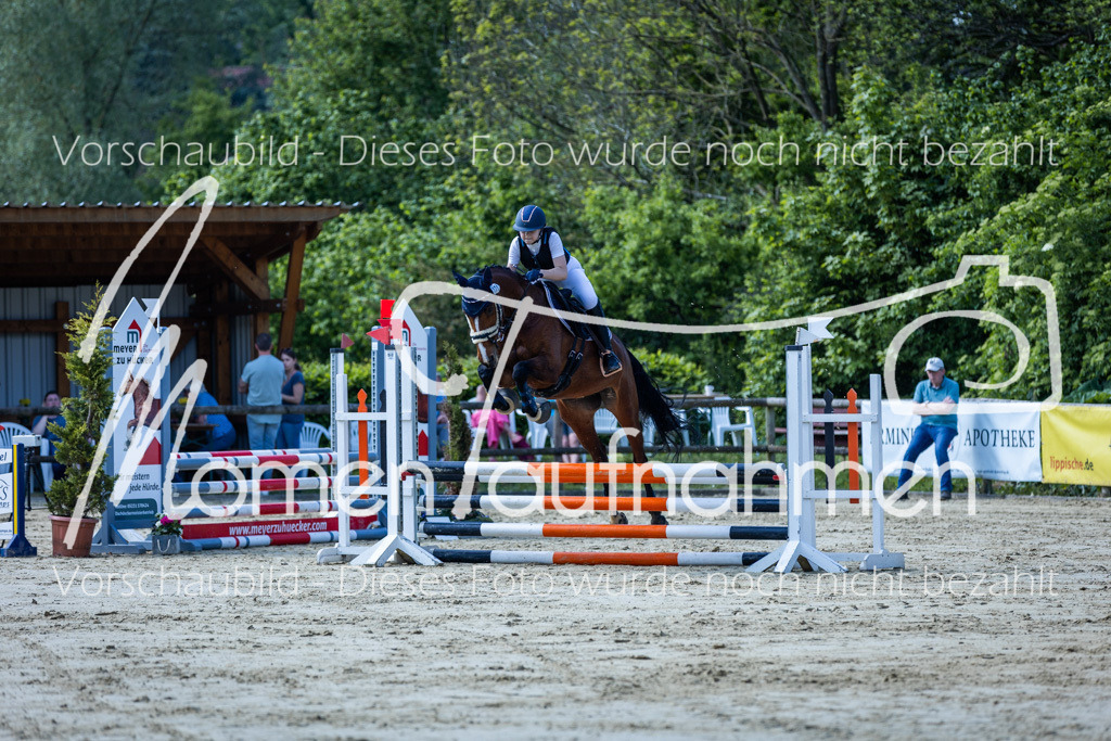 Donop24-ESpr-041 | MomenTaufnahmen Pferdesportfotos