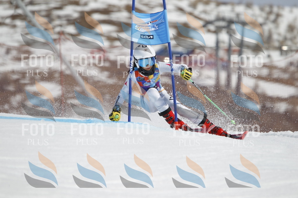 _U3G1480 | holidayphoto