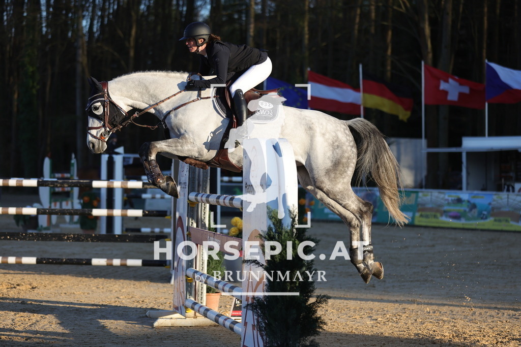 0P6A2701 | Willkommen bei Brunnmayr - Design & Fotografie – Ihrem Spezialisten für Reitturniere und Pferdeveranstaltungen in Oberösterreich, Salzburg und Bayern! Seit über 17 Jahren sind wir leidenschaftlich dabei.