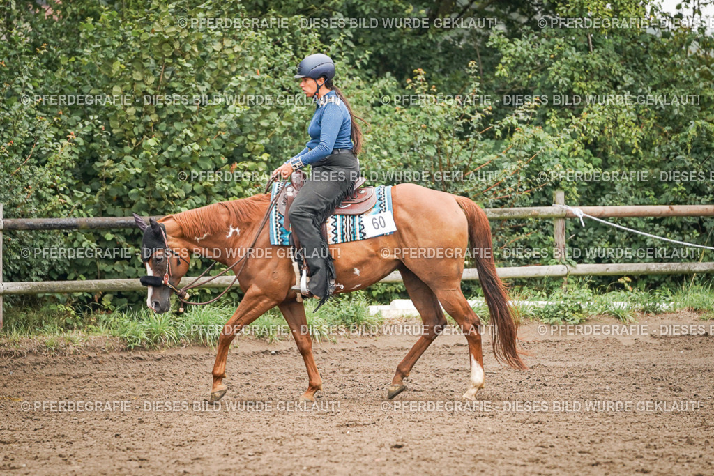 DSC02292 | Pferdegrafie