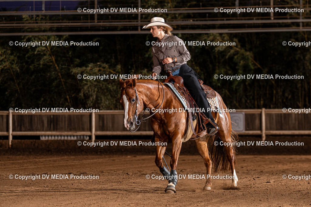 Erbach Tag 1-1336 | dv-media-shop - Realisiert mit Pictrs.com