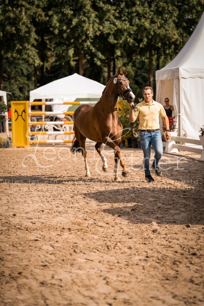 FrER00133 | Leoni Ertmer Photography - Realisiert mit Pictrs.com