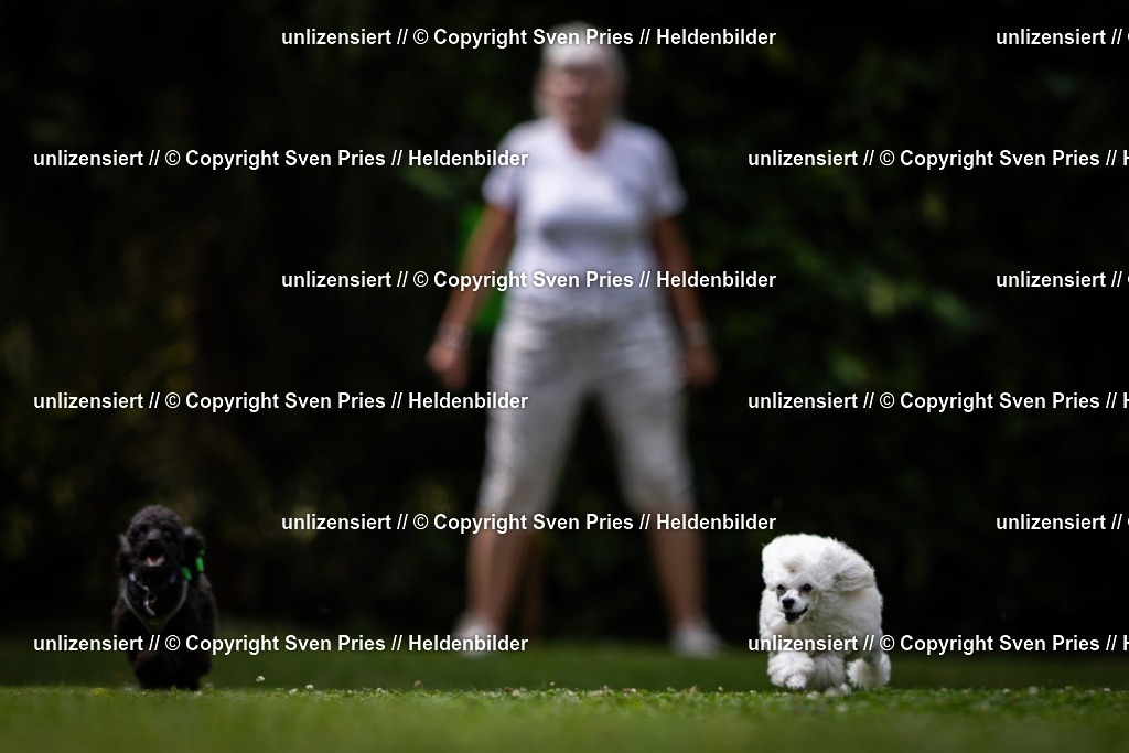 Sven Pries | 19. Allgemeines Hunderennen Karlsruhe Durlach - Realisiert mit Pictrs.com