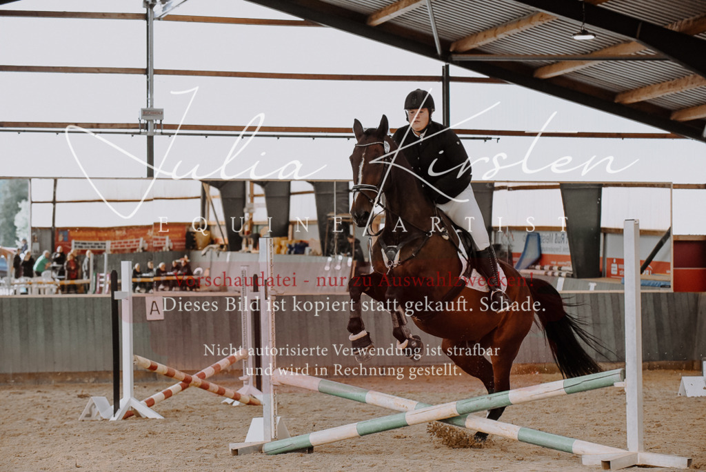 DSC_7473 | Pferde- und Turnierfotografie in Westsachsen. Pferdeportraits, Auftragszeichnungen und intuitive Kunst.