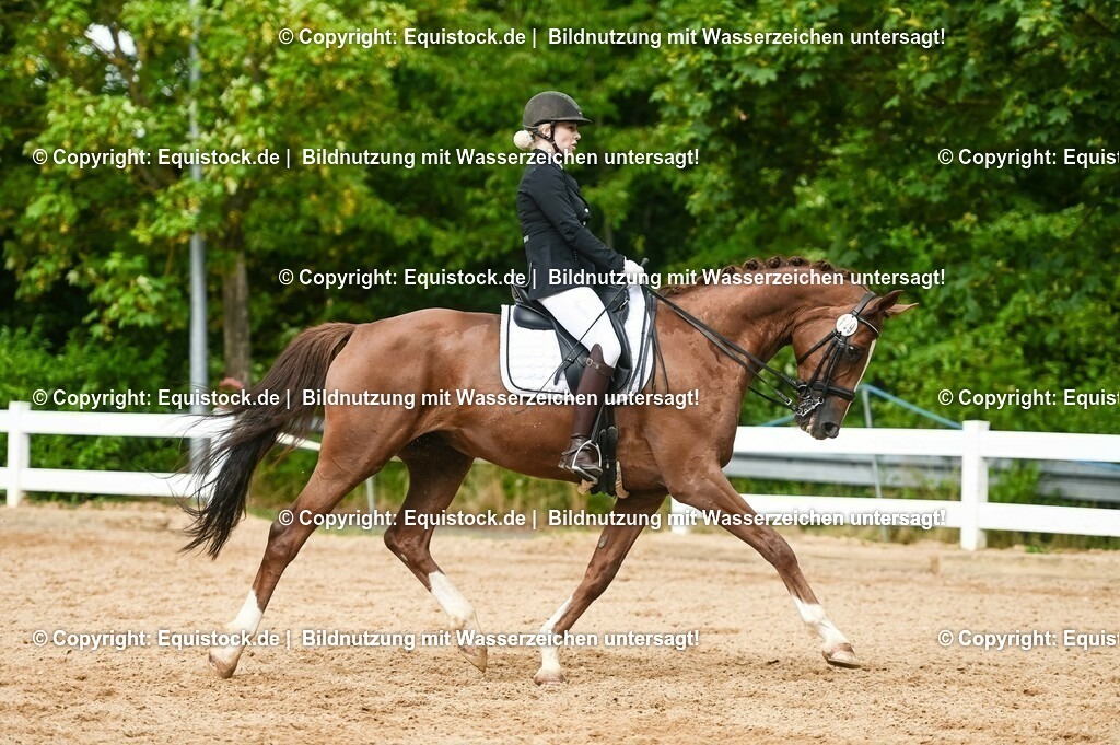 20230716_01_Dressurprüfung Kl.M_0551 | equistock