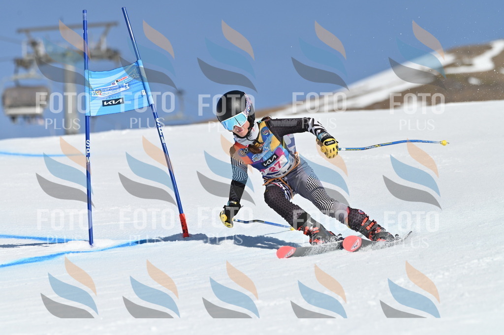 BGV_8099 | holidayphoto