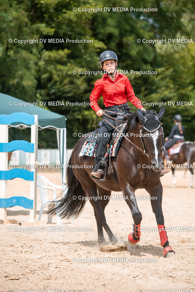 EWP_6656 | dv-media-shop - Realisiert mit Pictrs.com