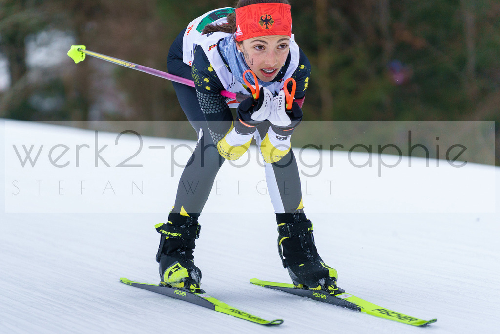 DSC Arber | Bayerischer Wald am 9. bis 12. Februar 2023
