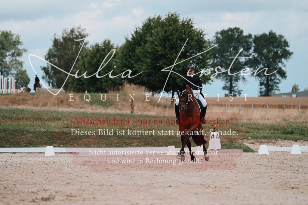 DSC_4365 | Pferde- und Turnierfotografie in Westsachsen. Pferdeportraits, Auftragszeichnungen und intuitive Kunst.