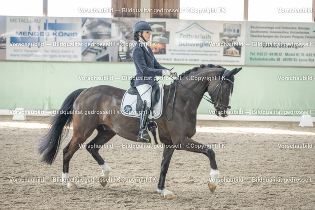 _D5A0656 | Emotionale Pferde- & People-Fotografie rund um Heidelberg, Leimen & Umgebung. Natürliche Fotos von Pferd, Mensch & Familie. Jetzt Termin sichern!