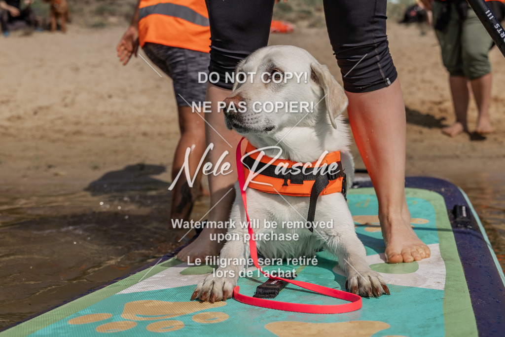 BUHU_SUP_401 | nelerasche