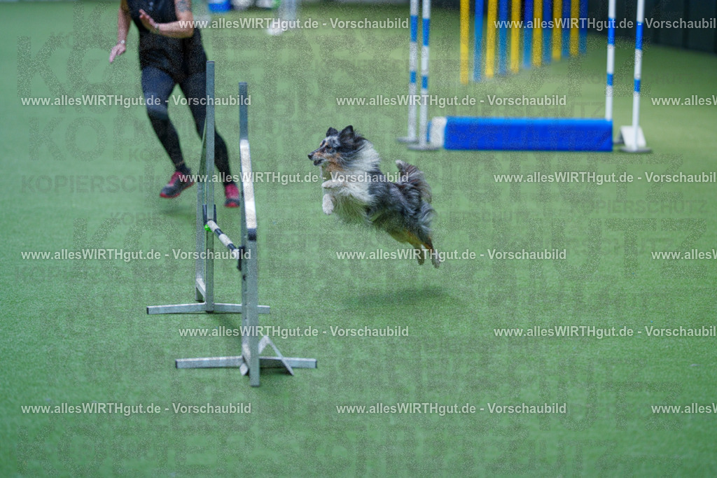 @allesWIRTHgut_Tierfotografie - www.allesWIRTHgut.de - 2604261337-7R502293 | Professionelle Tierfotografie in Mönchengladbach von Daniel Wirth (allesWIRTHgut). Liebevolle & natürliche Bilder von Hunden & Katzen für unvergessliche Erinnerungen.