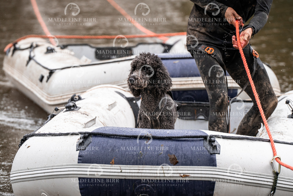 madeleinebirr-fotografie2025.campcanis.11-12Uhr-170 | hundefotografie-birr