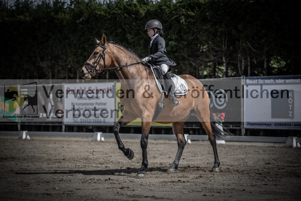 DSC_0872 | equestrian-live-com