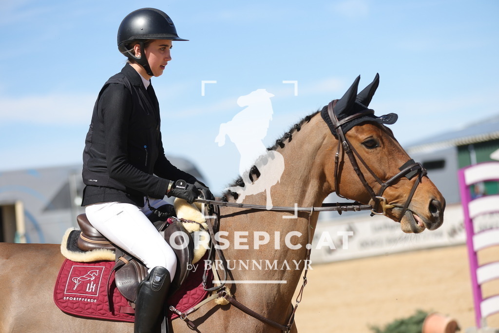 0P6A7986 | Willkommen bei Brunnmayr - Design & Fotografie – Ihrem Spezialisten für Reitturniere und Pferdeveranstaltungen in Oberösterreich, Salzburg und Bayern! Seit über 17 Jahren sind wir leidenschaftlich dabei.