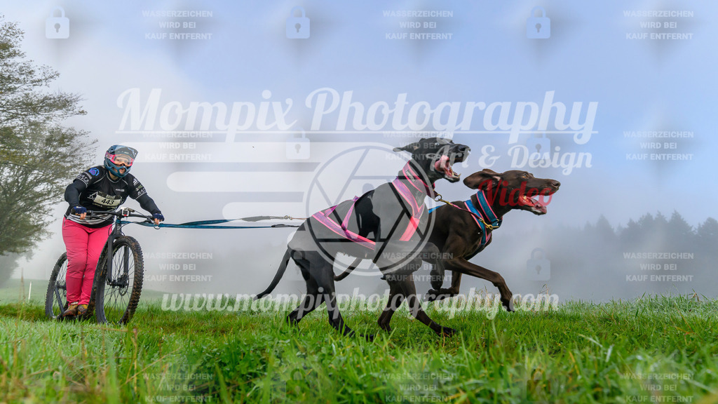 MompixPhotography_20TSB_E5_DS2-16 | PayLife