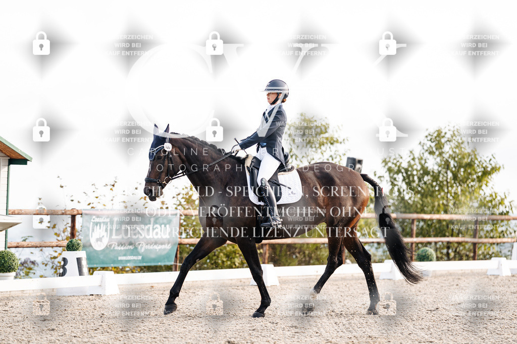 CK900428 | Turnierfotografie Pferdefotografie Trier Rheinland-Pfalz Pferdesport Reitsport Tierfotografie Sportfotografie Pferdevideo Pferdevideografie Equestrianvideography equestrianphotography  - Realisiert mit Pictrs.com