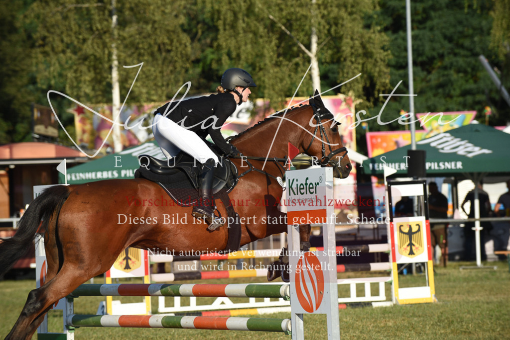 DSC_4821 | Pferde- und Turnierfotografie in Westsachsen. Pferdeportraits, Auftragszeichnungen und intuitive Kunst.