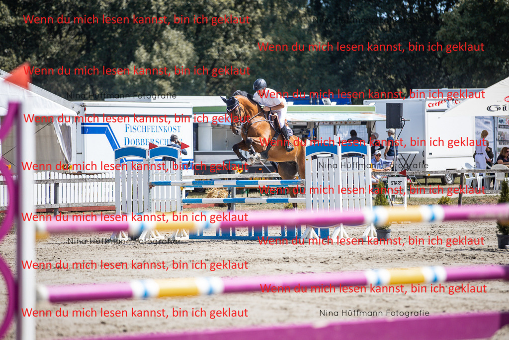BK1A6468 | Turnierbilder Turnierfotos Nina Hüffmann Turnierfotografie Pferdefotografie Tierzeichnung Haustierzeichnung Pferdezeichnung Hundezeichnung Videograf  - Realisiert mit Pictrs.com