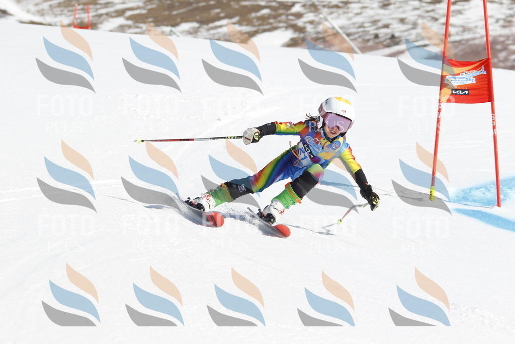 _U3G8880 | holidayphoto