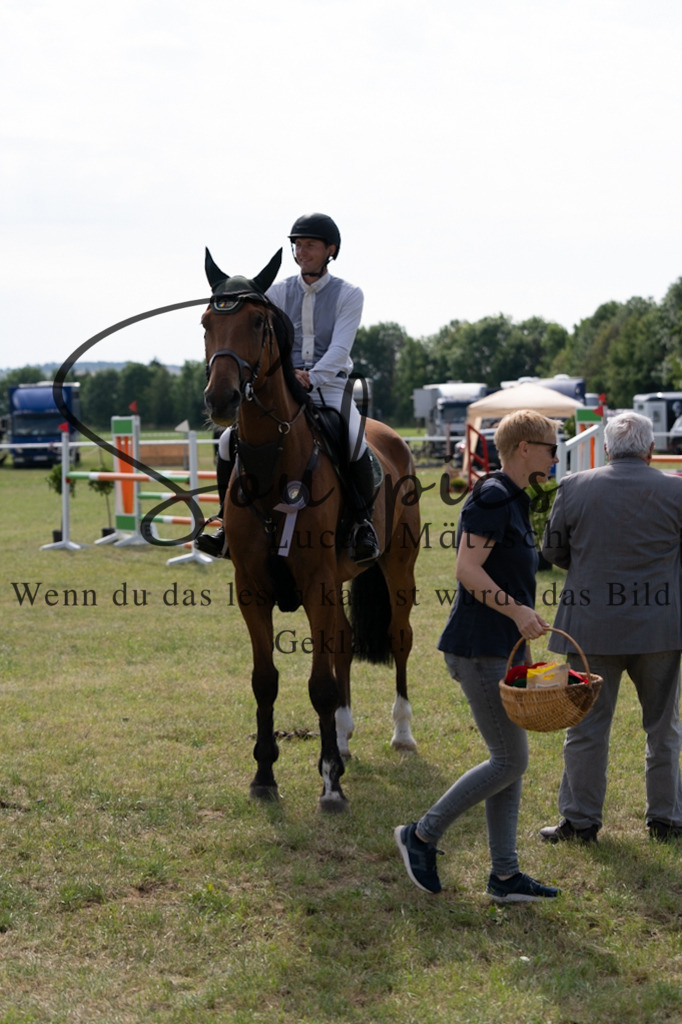 A7V01498 | Pferdefotograf