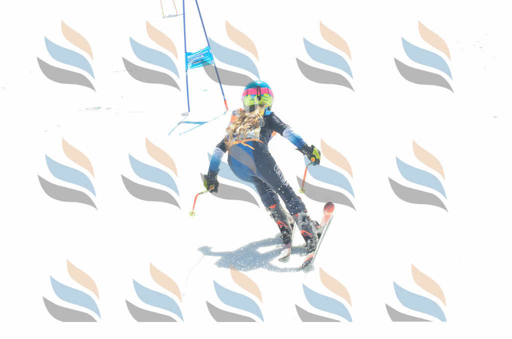 _ELE6201 | holidayphoto