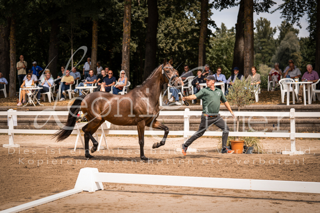 2. Fr00032 | Leoni Ertmer Photography - Realisiert mit Pictrs.com