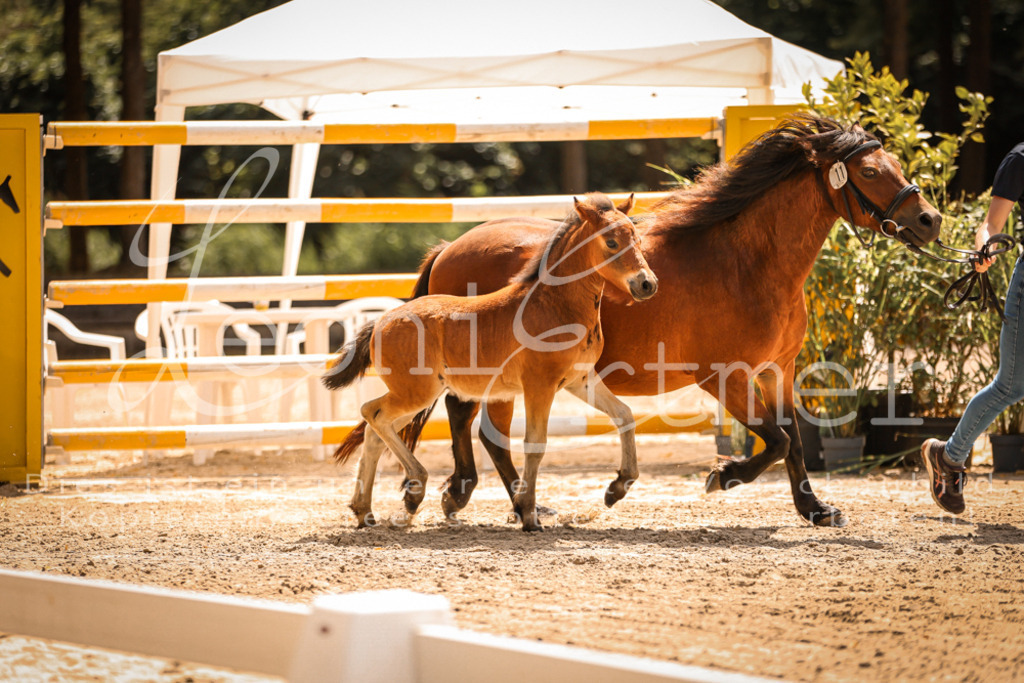 02.DoSR00132 | Leoni Ertmer Photography - Realisiert mit Pictrs.com