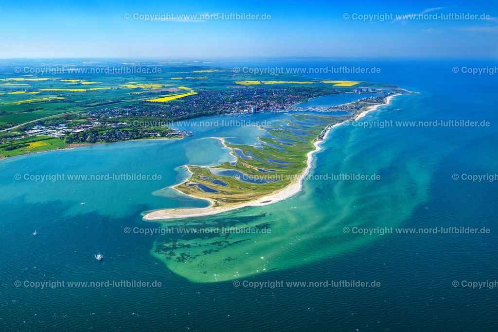 Heiligenhafen_Graswarder_Heiligenhafen_ELS_5856010524010524 | HEILIGENHAFEN 01.05.2024 Küstenbereich mit sandiger Strand- und Gras- Landschaft der Halbinsel Graswarder-Heilgenhafen mit einigen Einfamilienhäusern in Großenbrode im Bundesland Schleswig-Holstein. Weiterführende Informationen bei: NABU Gruppe Heiligenhafen,  Stadt Heiligenhafen. // Coastal area of the peninsula Graswarder-Heilgenhafen with a few single- family houses at the beach in Grossenbrode in the state Schleswig-Holstein. Further information at: NABU Gruppe Heiligenhafen,  Stadt Heiligenhafen. Foto: Martin Elsen