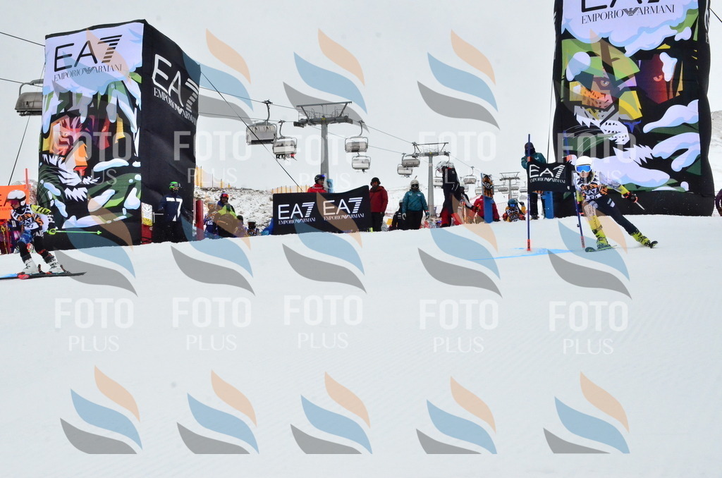 _ELE3403 | holidayphoto