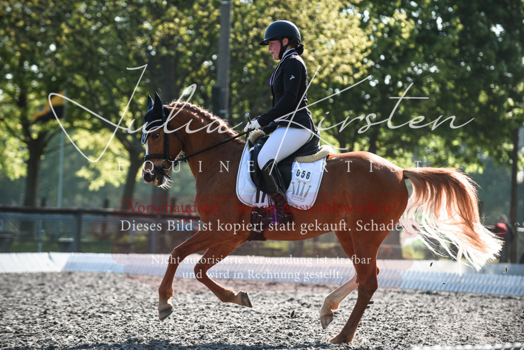 DSC_8445 | Pferde- und Turnierfotografie in Westsachsen. Pferdeportraits, Auftragszeichnungen und intuitive Kunst.