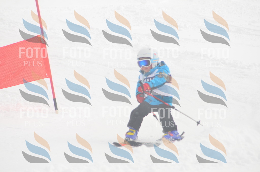 A5030 | holidayphoto