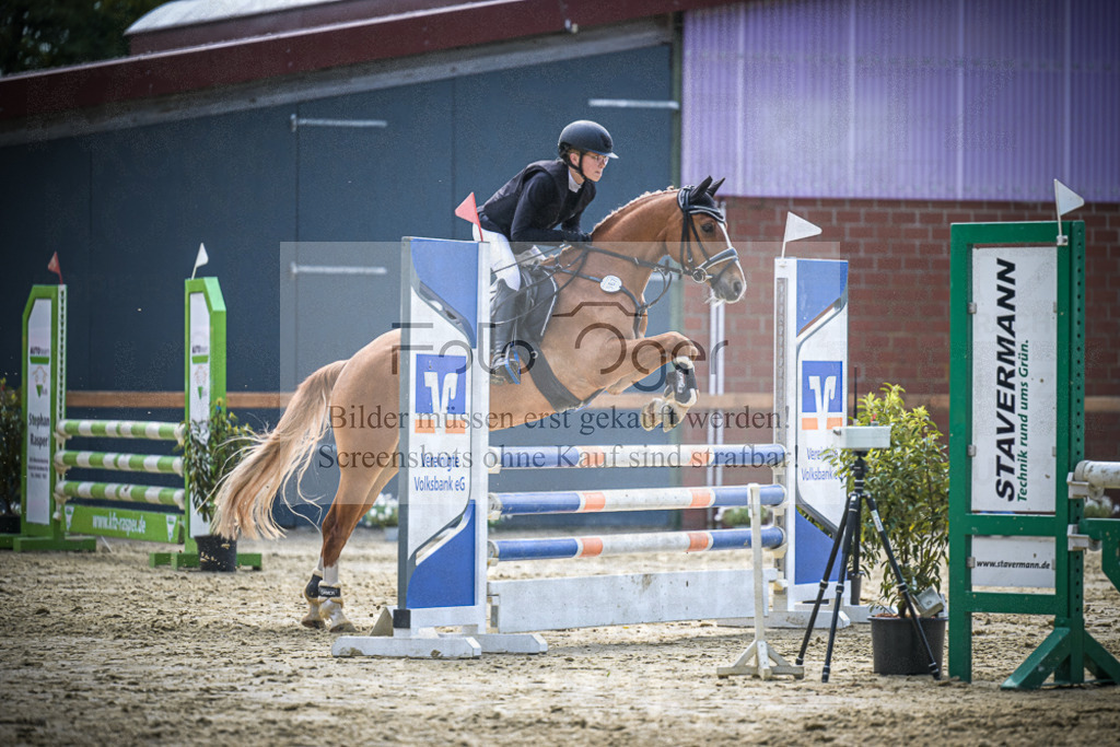 DOS_0117 | Entdecke hochwertige Reitturnierfotos von Foto Oger. Professionell, emotional und authentisch – jetzt Lieblingsmomente im Shop bestellen.Deutschlandweite Turnierfotografie. - Realisiert mit Pictrs.com
