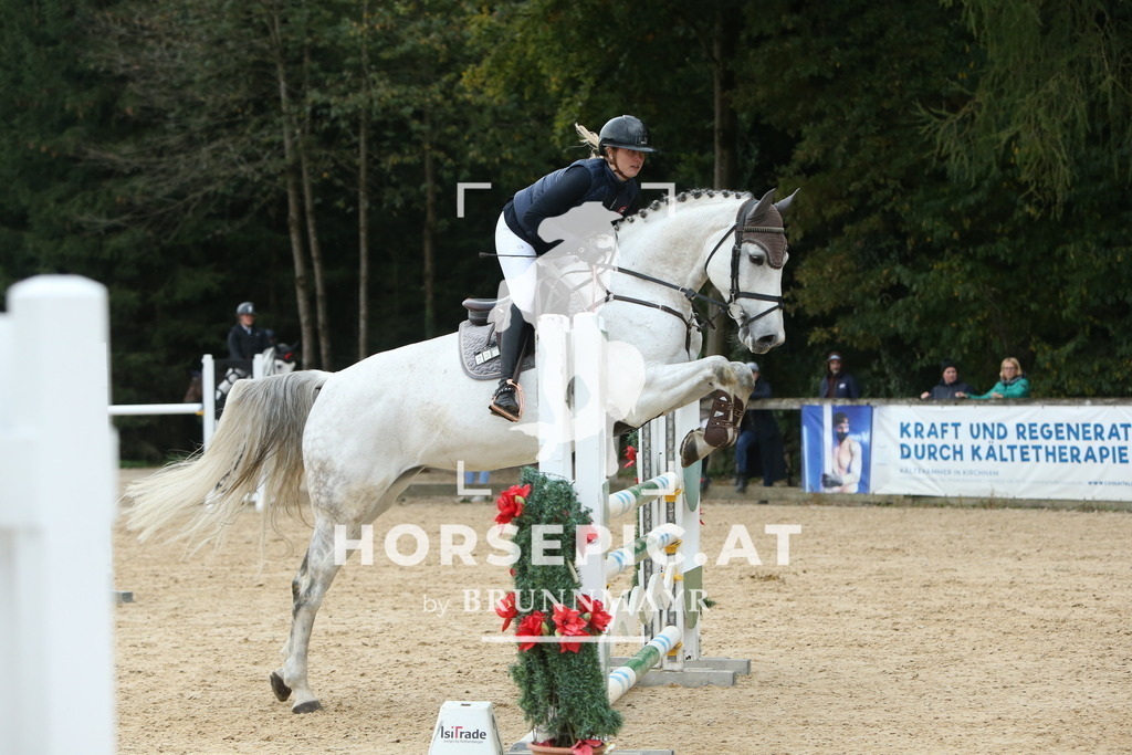 DL2Q7726 | Willkommen bei Brunnmayr - Design & Fotografie – Ihrem Spezialisten für Reitturniere und Pferdeveranstaltungen in Oberösterreich, Salzburg und Bayern! Seit über 17 Jahren sind wir leidenschaftlich dabei.