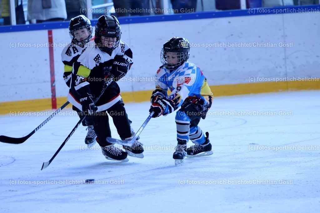 2X5A2324 | fotos-sportlich-belichtet - Realisiert mit Pictrs.com