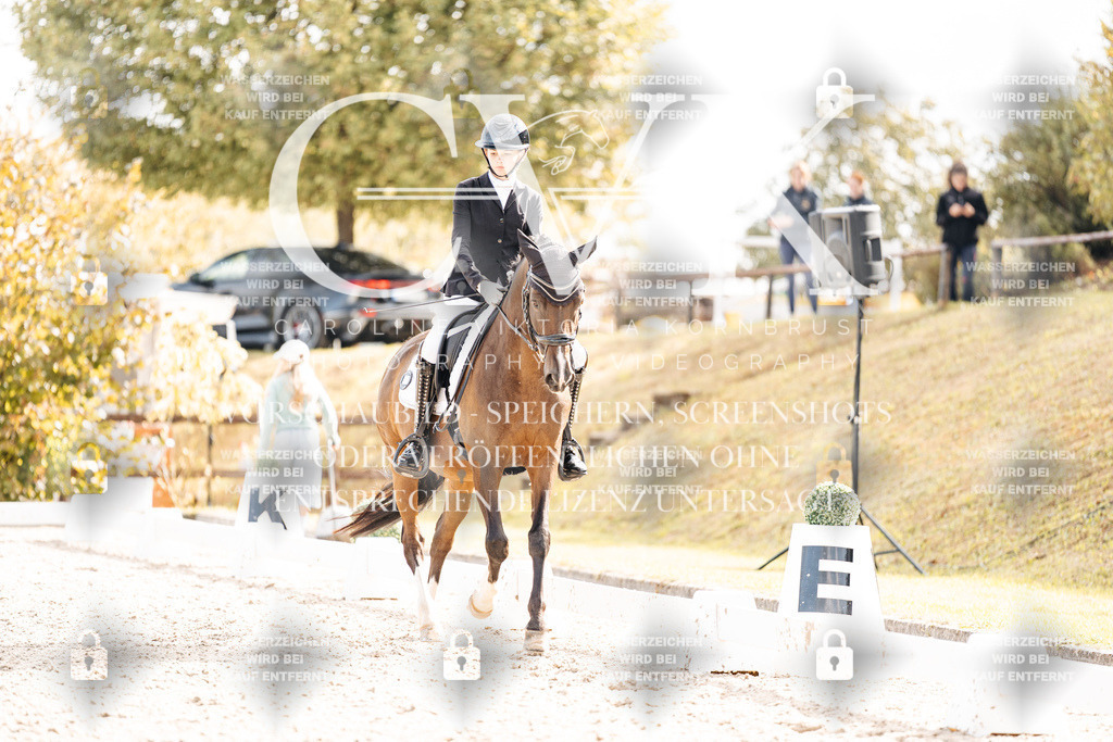 CK901655 | Turnierfotografie Pferdefotografie Trier Rheinland-Pfalz Pferdesport Reitsport Tierfotografie Sportfotografie Pferdevideo Pferdevideografie Equestrianvideography equestrianphotography  - Realisiert mit Pictrs.com