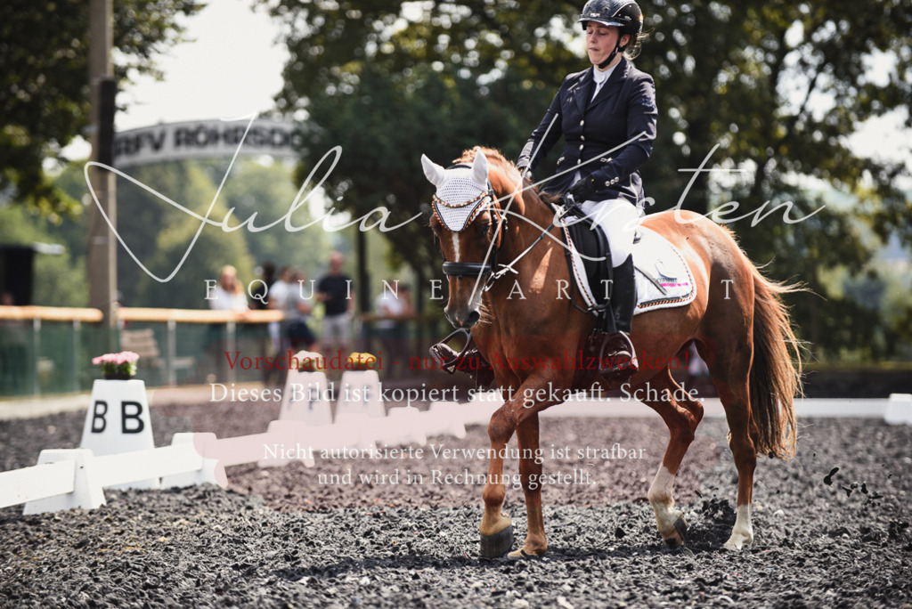 DSC_4234 | Pferde- und Turnierfotografie in Westsachsen. Pferdeportraits, Auftragszeichnungen und intuitive Kunst.