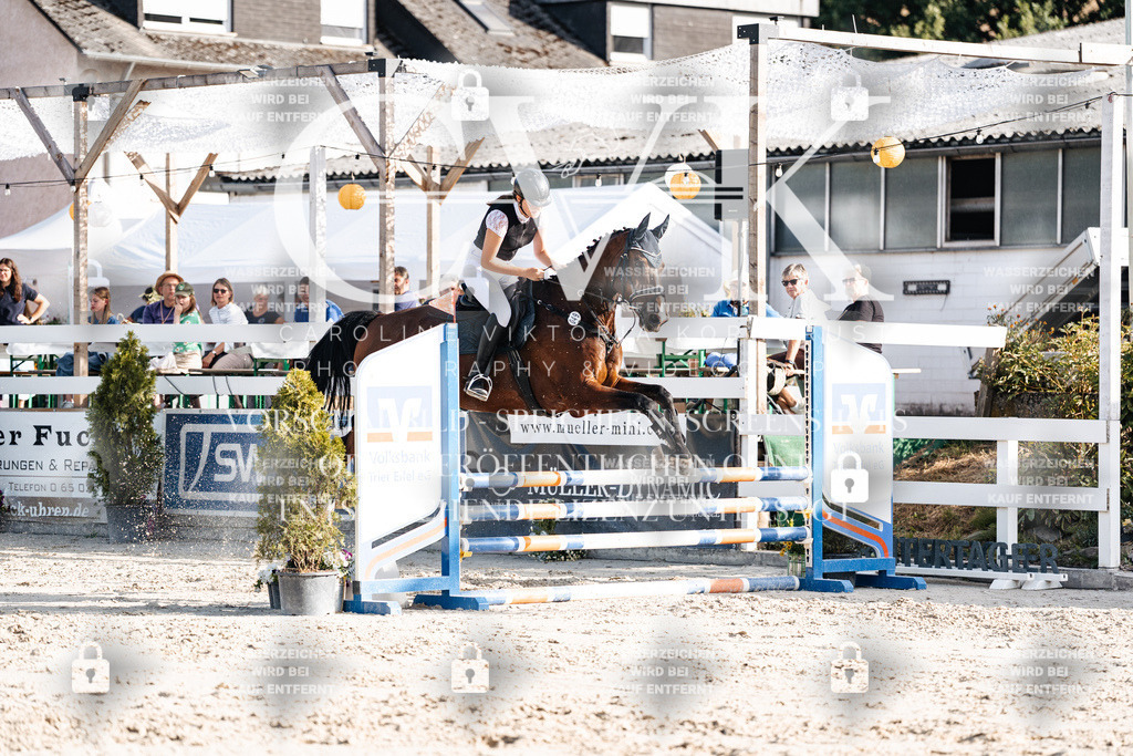 CK909542 | Turnierfotografie Pferdefotografie Trier Rheinland-Pfalz Pferdesport Reitsport Tierfotografie Sportfotografie Pferdevideo Pferdevideografie Equestrianvideography equestrianphotography  - Realisiert mit Pictrs.com