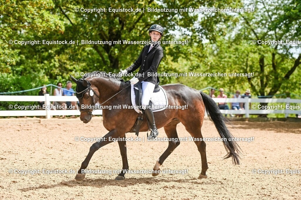20230716_03_Dressurprfg. Kl.L - Tr._0563 | equistock