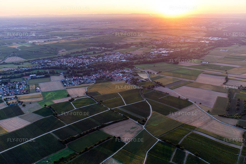 Luftbild: Ortsansicht im Ortsteil Billigheim in Billigheim-Ingenheim im Bundesland Rheinland-Pfalz in Deutschland. Foto: IMG_109654.jpg vom 06.08.2018 durch Werner Riehm/FLY-FOTO.de
